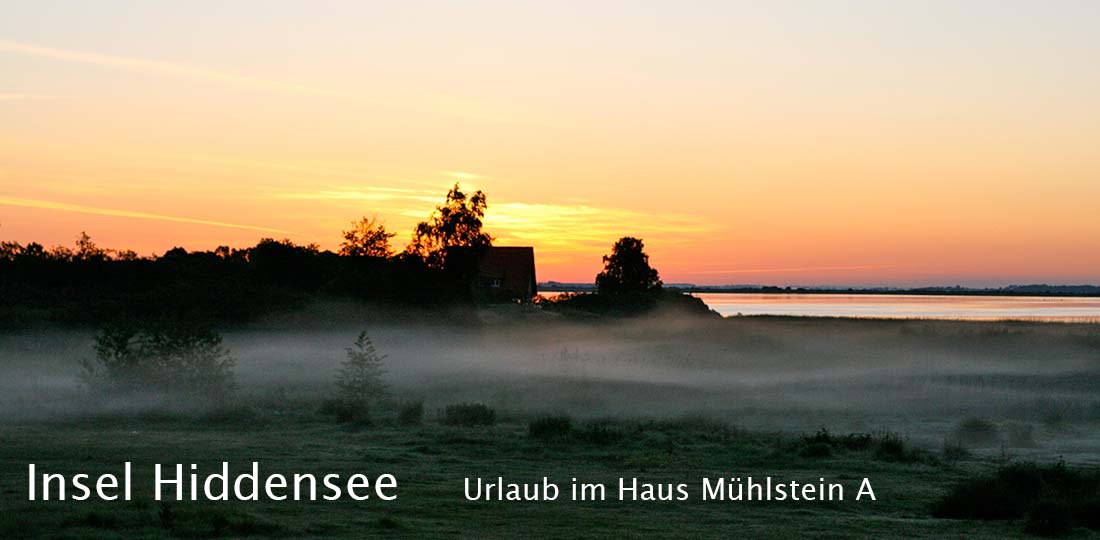 Fewo Hiddensee vom Obergeschoss den Sonnenuntergang genießen