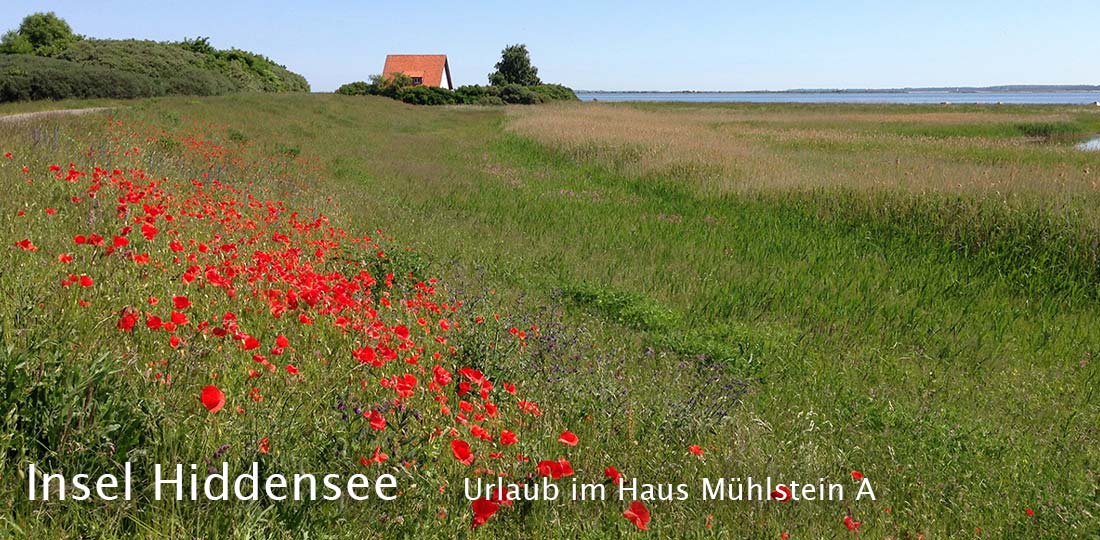 Fewo auf der Insel Hiddensee mit 150 qm auf zwei Etagen für bis zu 6 Personen (8 auf Anfrage).